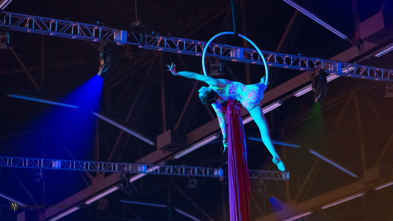 Aerial acrobat performing on a hoop with red silk ribbons under blue stage lights in a circus venue.