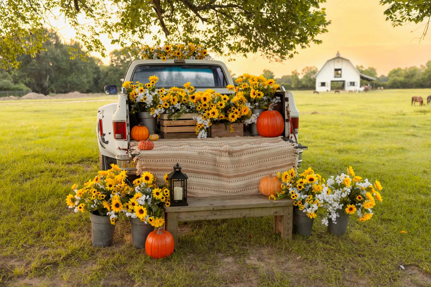 Truck bed decorated with sunflowers, pumpkins, and lanterns on a farm during golden hour fall sunset.