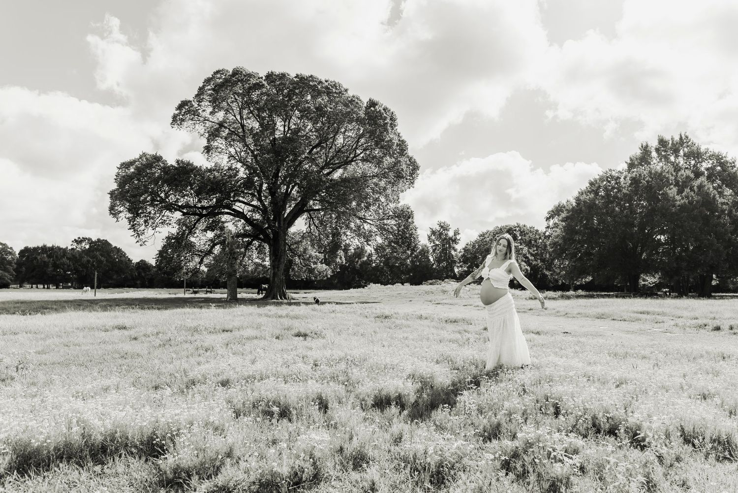 Black and white photo of a pregnant woman in a white dress standing in a field with large trees.