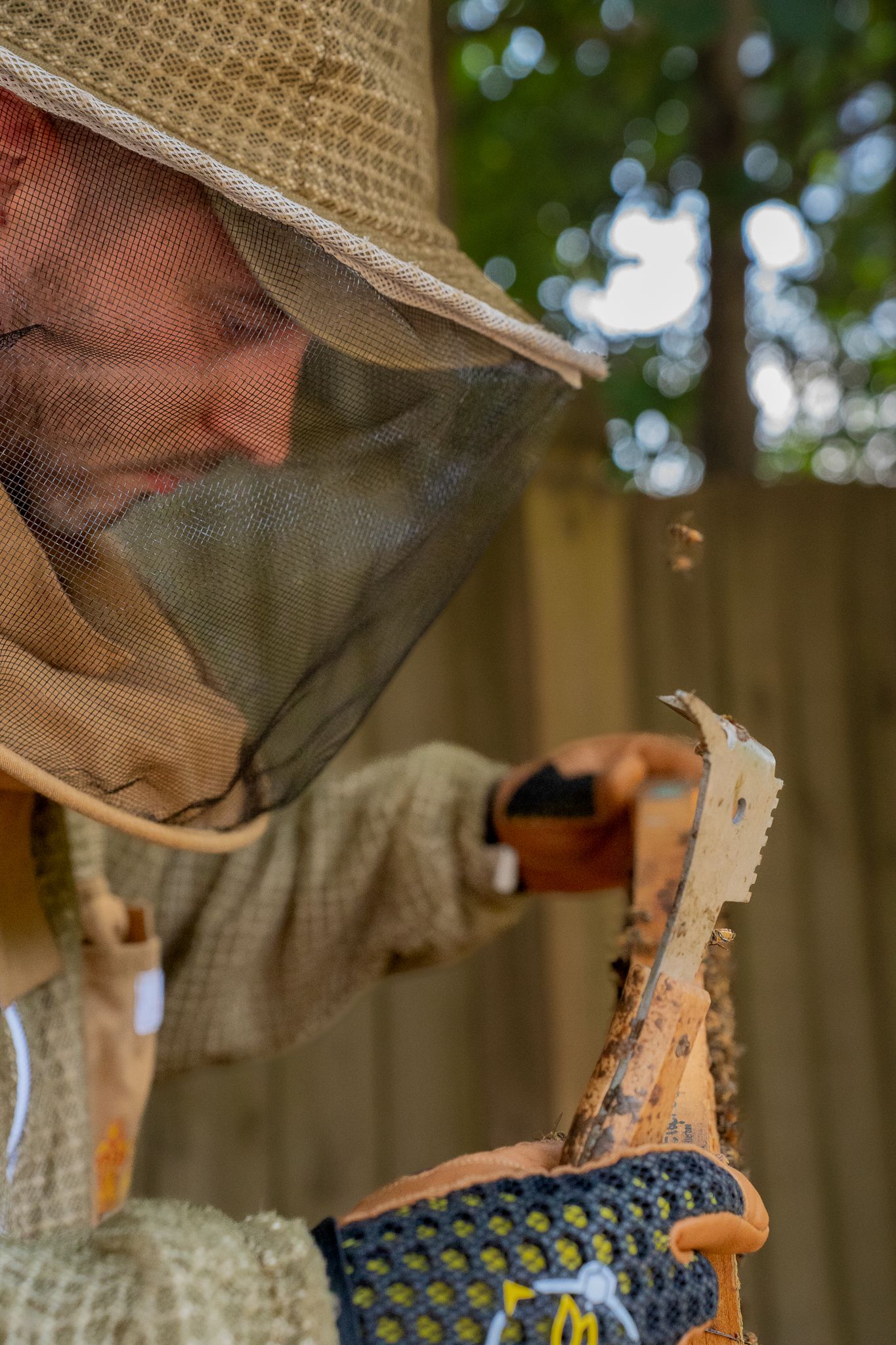 Man inspecting frame from beehive