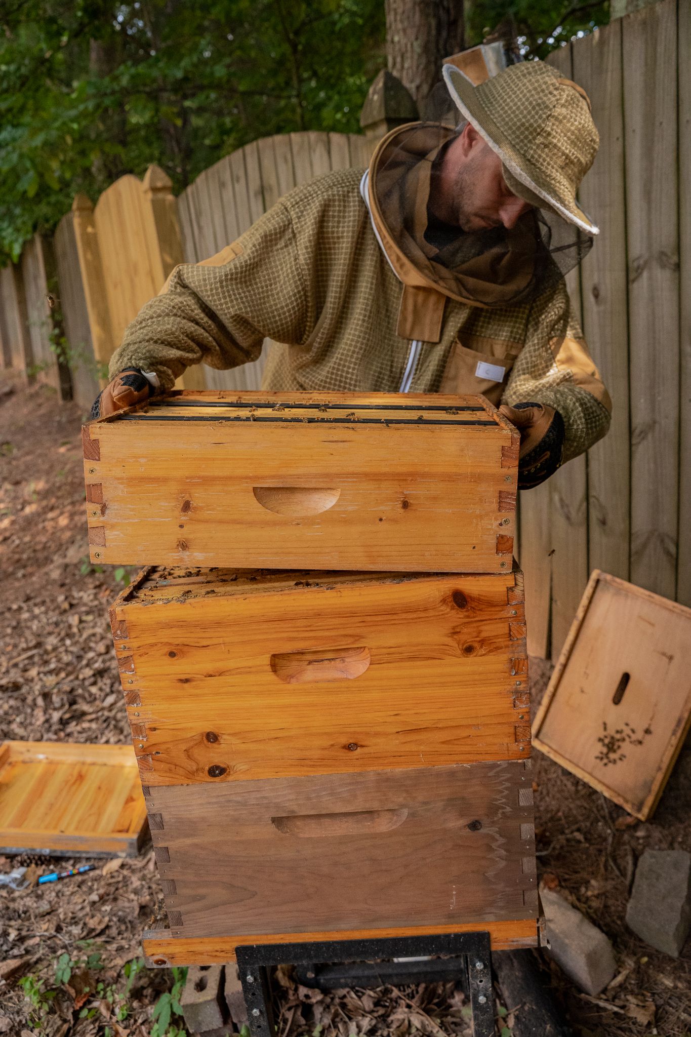 Man putting super back on beehive