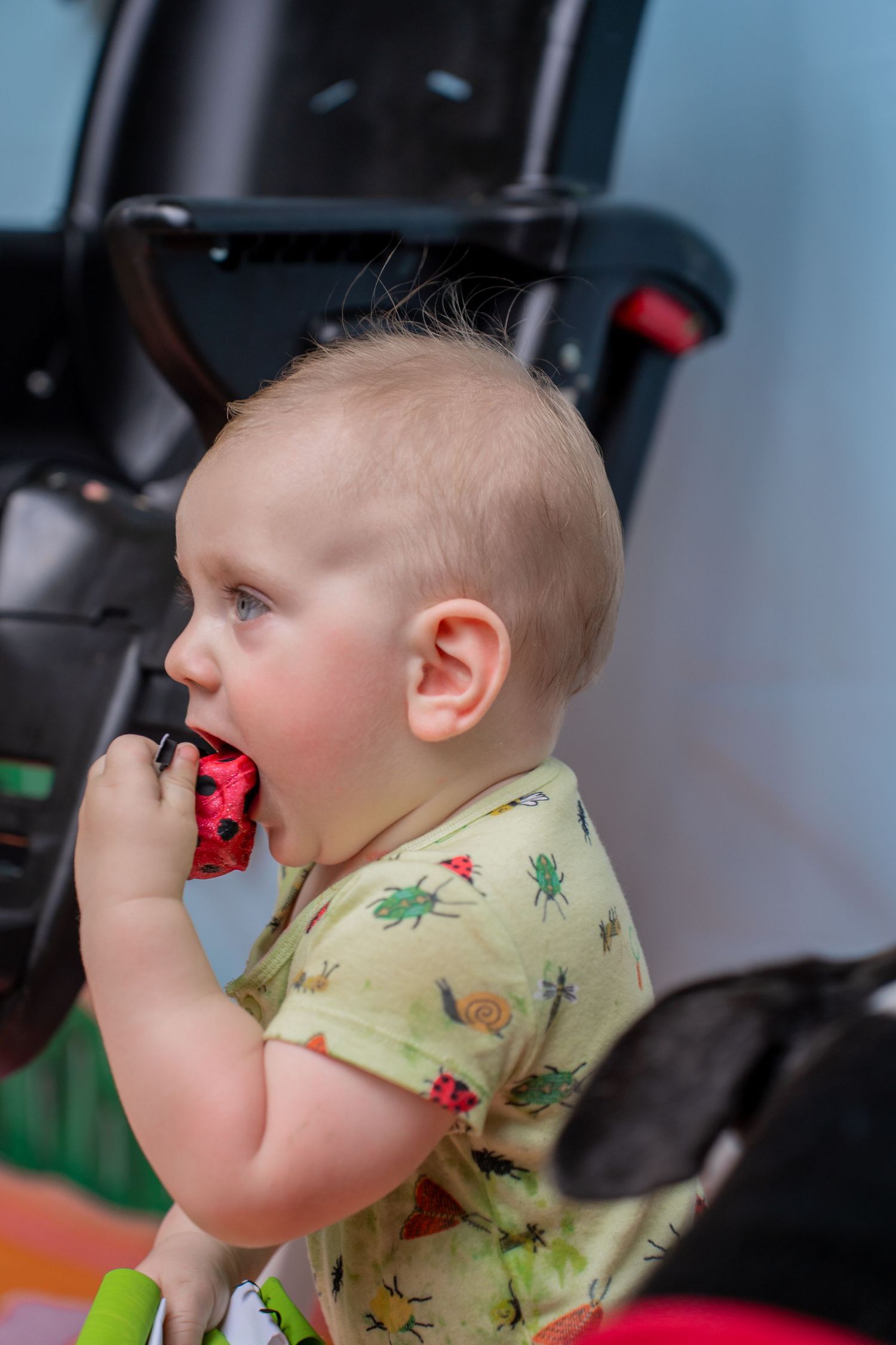 Toddler eating something they shouldn't be