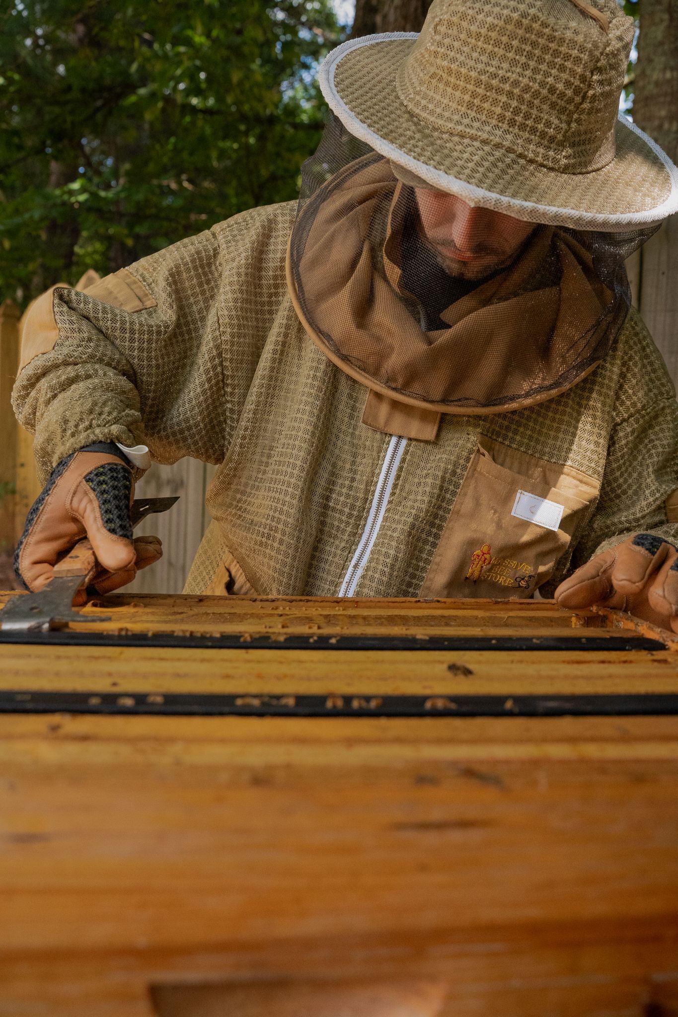 Man inspecting beehive