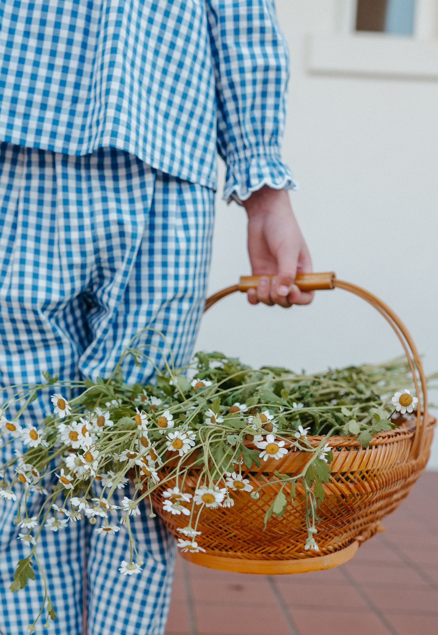 Person in blue gingham outfit holding a wicker basket filled with fresh white daisy flowers.