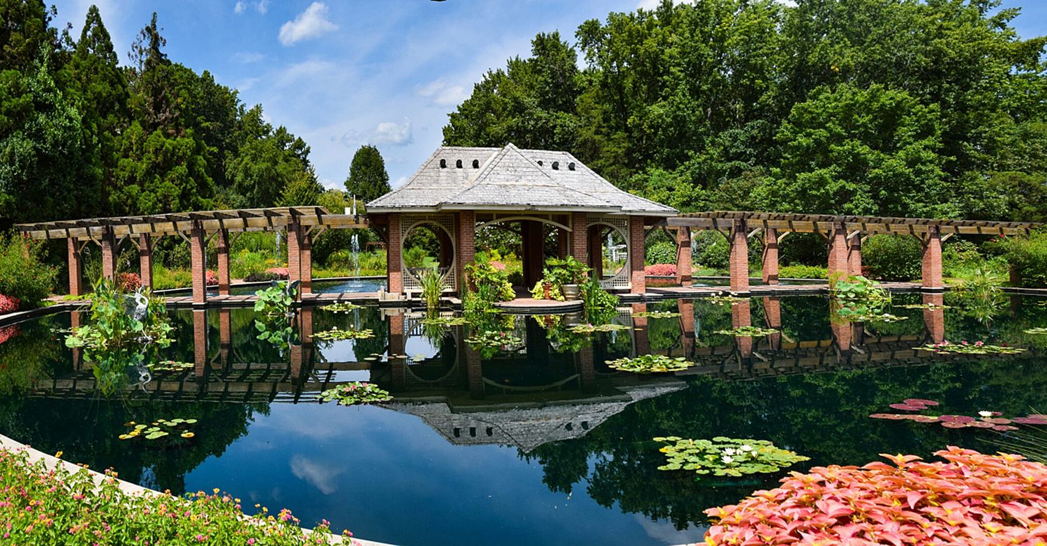 Serene botanical garden with a gazebo reflected in a calm lily pond, surrounded by lush greenery and colorful flowers.
