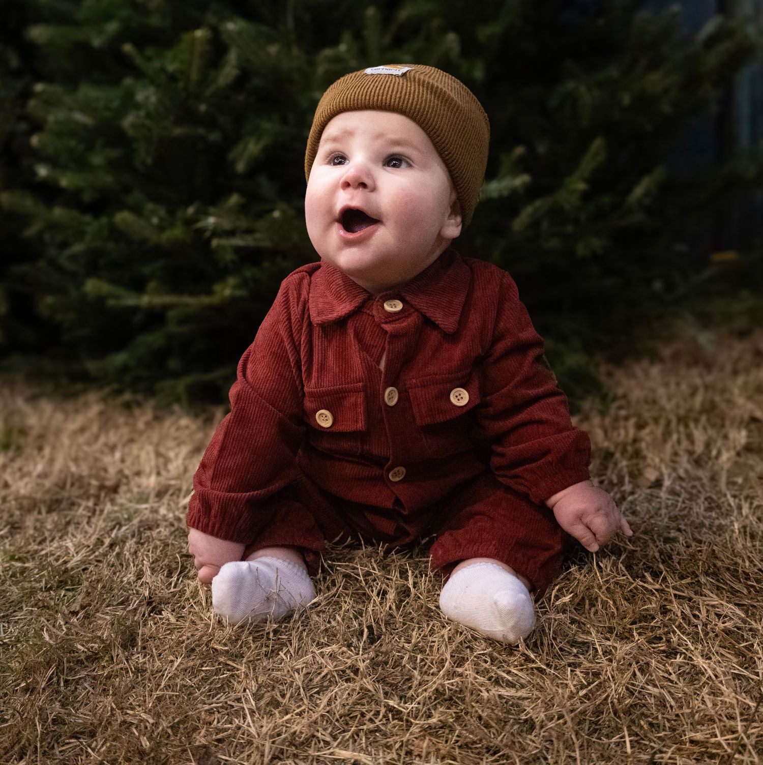Baby wearing burgundy outfit and beanie crawling on hay during holiday photo session.