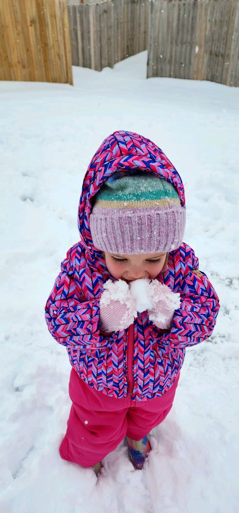 Small child in pink and blue winter coat playing in deep snow.