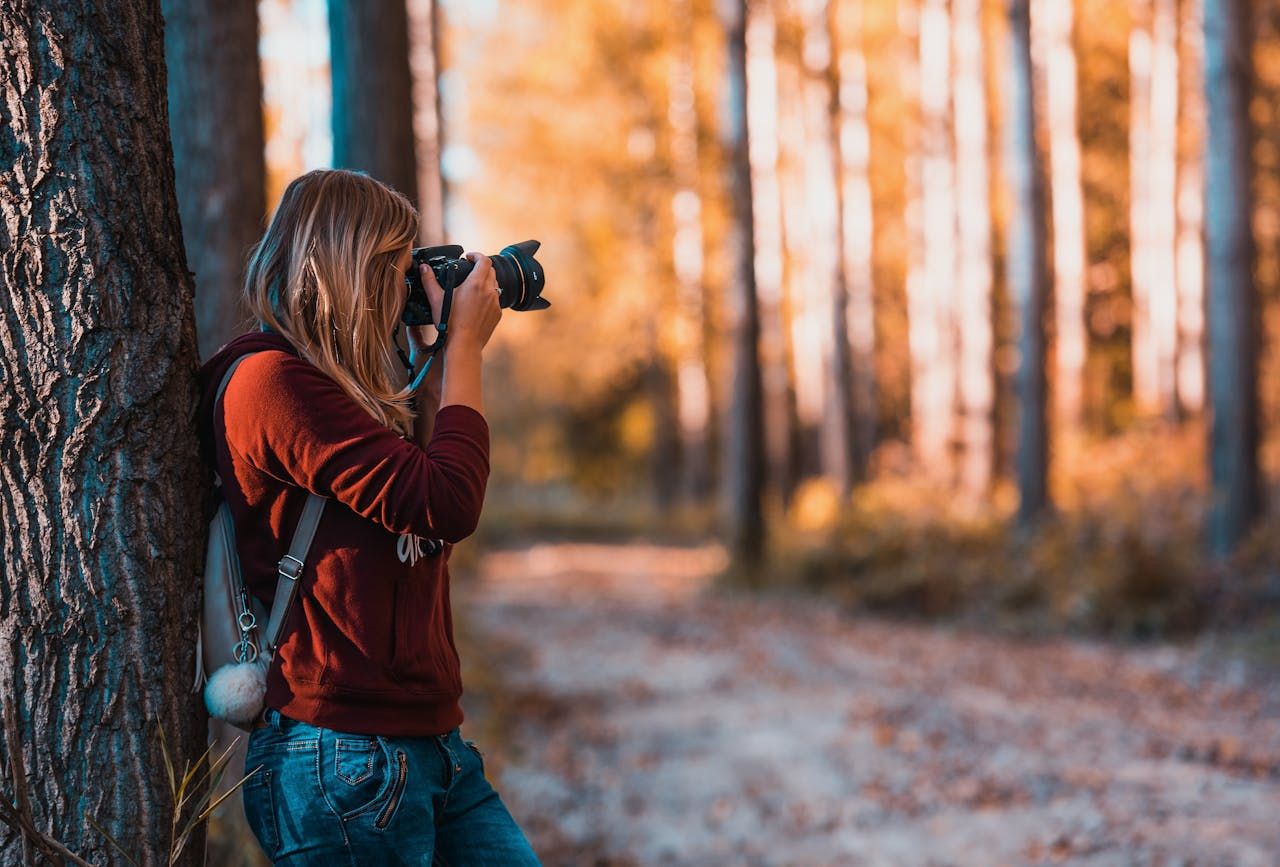 Person taking photos in autumn forest with golden sunlight filtering through trees.