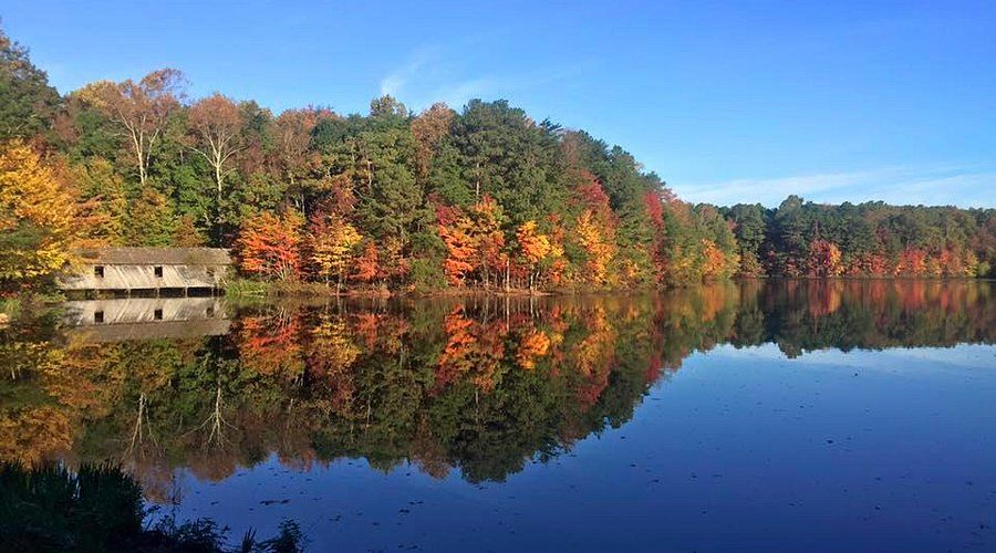 Autumn forest reflected in calm lake with colorful foliage and rustic boathouse on a clear sunny day.