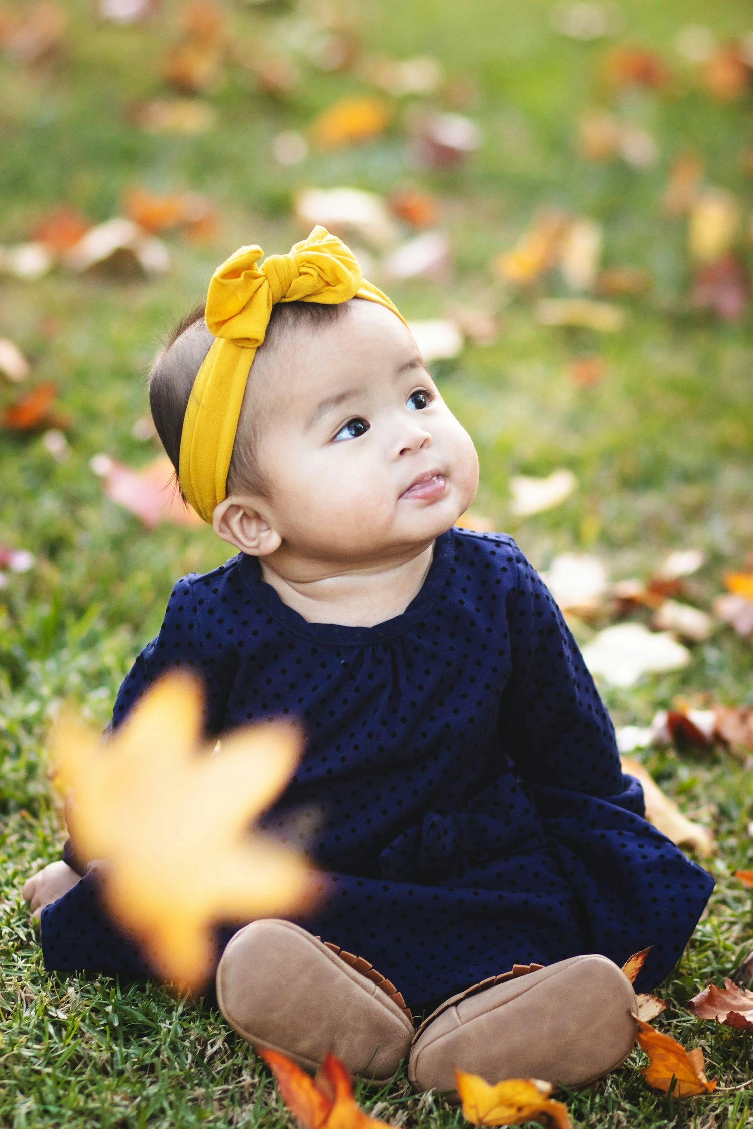 Adorable baby girl in navy dress and yellow bow headband sitting on grass surrounded by colorful autumn leaves.