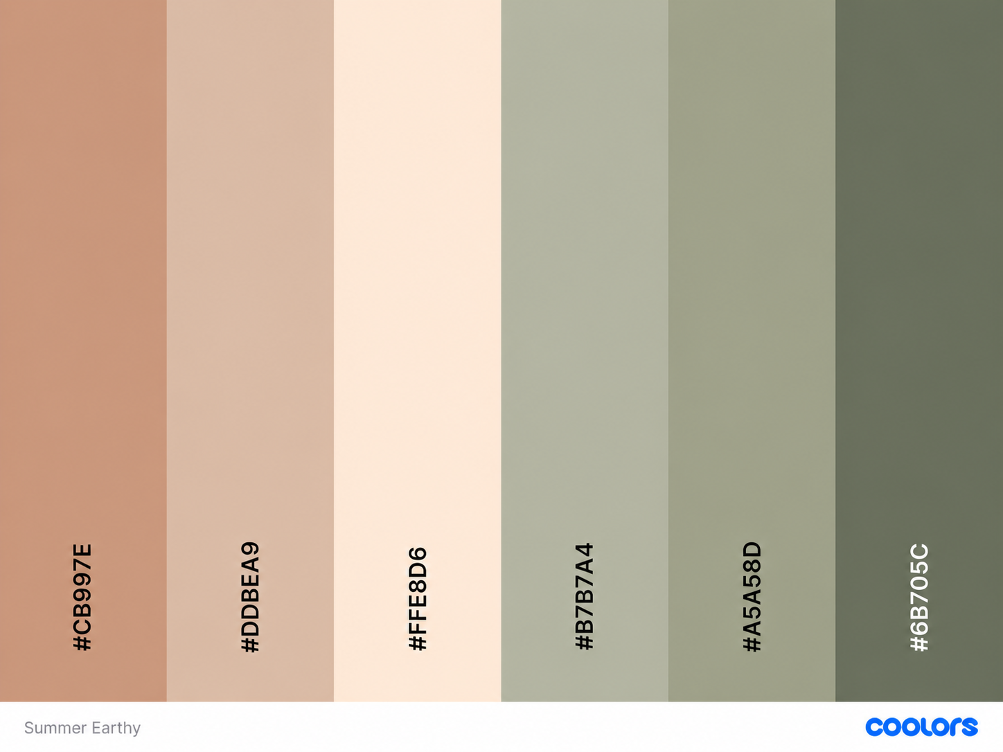 A Summer Earthy color palette featuring warm terracotta, soft beige, cream, and muted sage green tones for natural design inspiration.