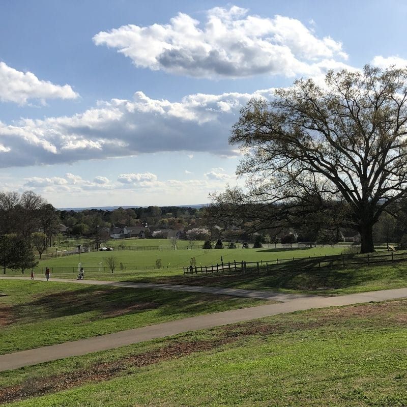 A scenic park landscape with lush green grass, a large bare tree, winding path, and a partly cloudy blue sky in the background.