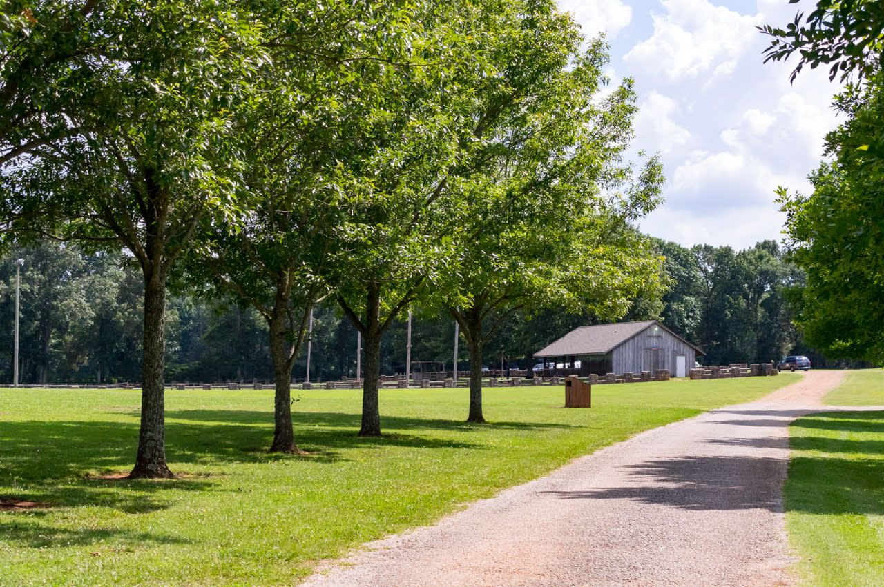 Tree-lined gravel driveway leading to a rustic barn surrounded by lush green grass on a sunny day.