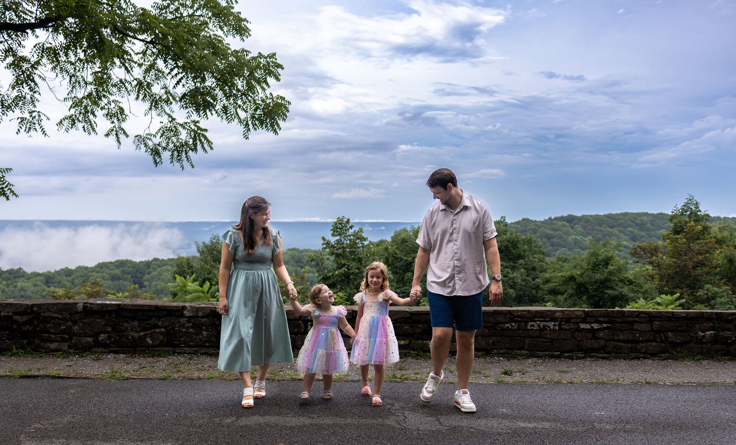 Family of four holding hands at scenic overlook with lush green trees and cloudy sky in background.