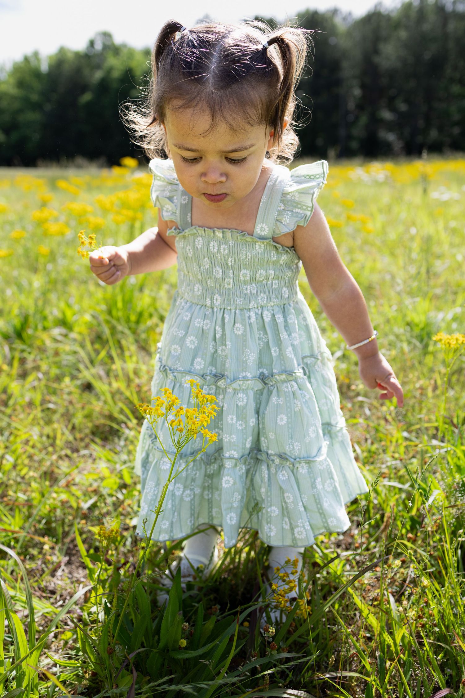 Toddler girl in a light blue floral dress picking yellow wildflowers in a sunny green meadow.