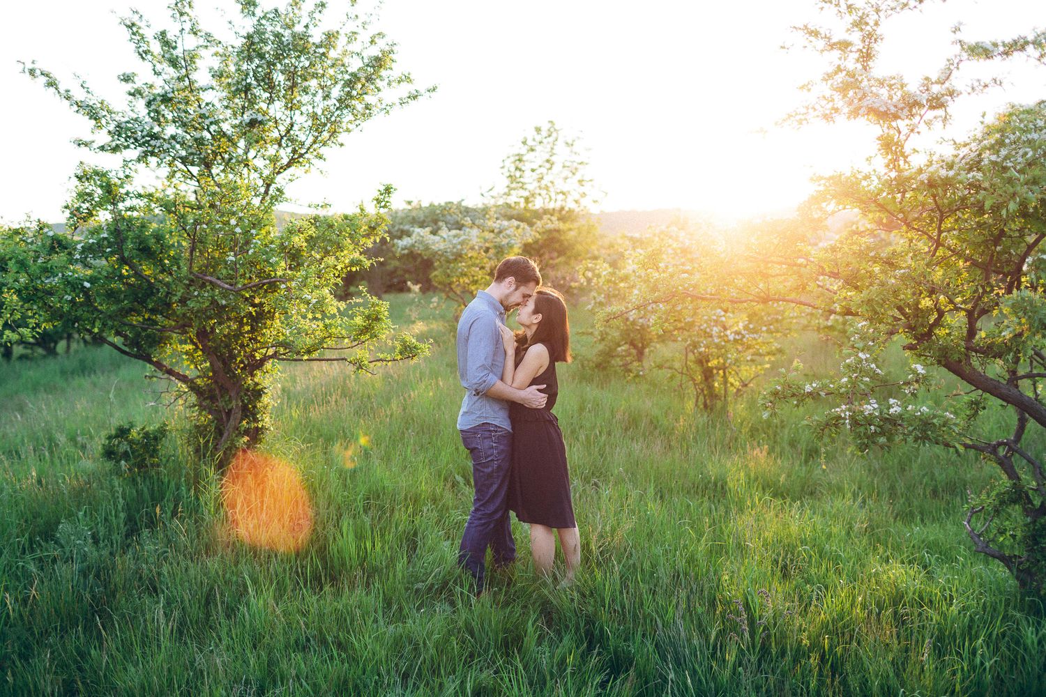 Couple sharing a romantic kiss in a lush green field during golden sunset hour.