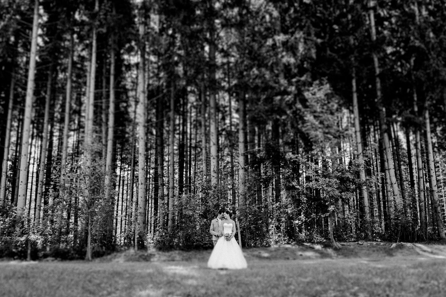 Black and white photo of bride and groom embracing in clearing surrounded by tall pine forest trees.
