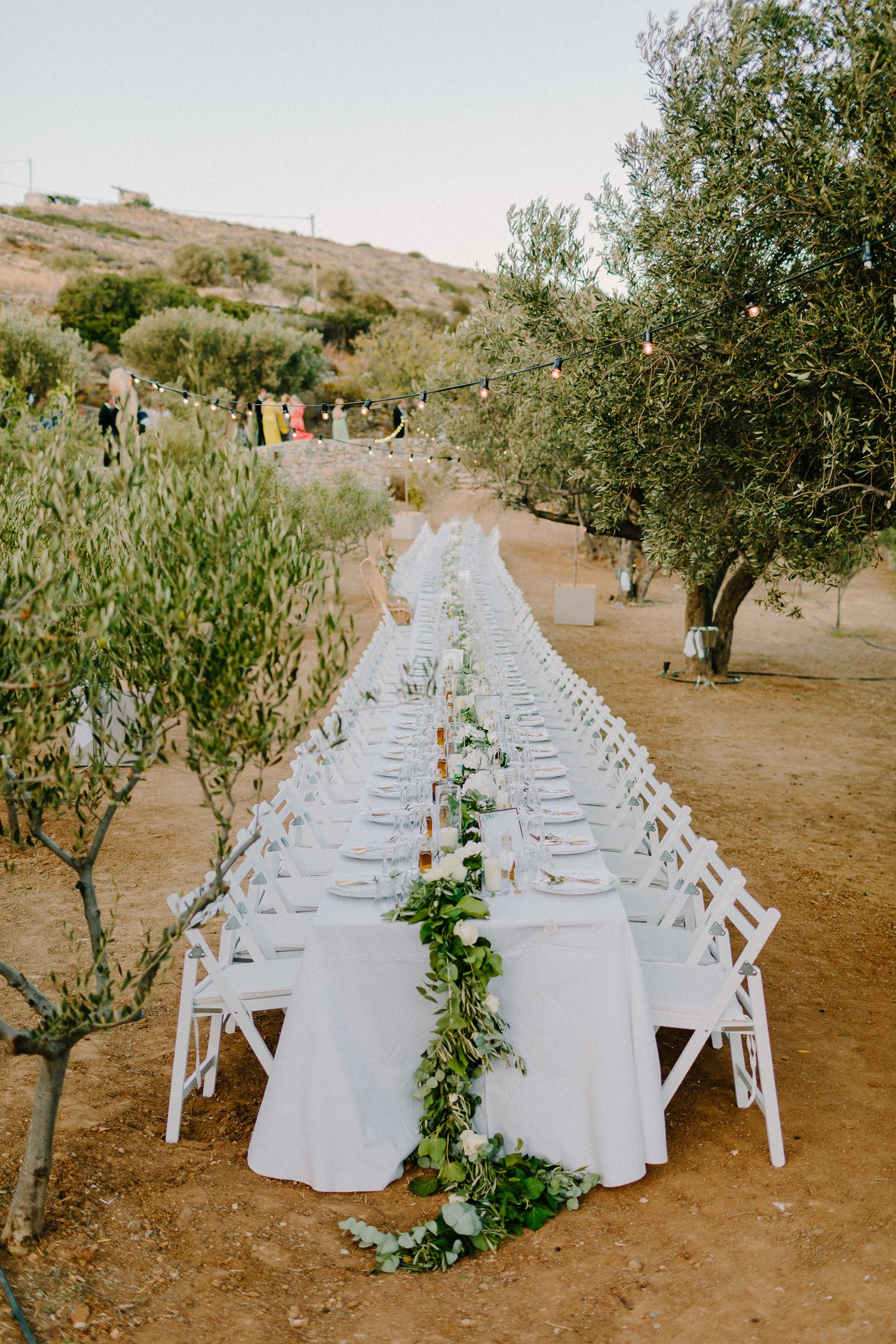 Long outdoor wedding banquet table with white tablecloth and lush greenery runner under olive trees.