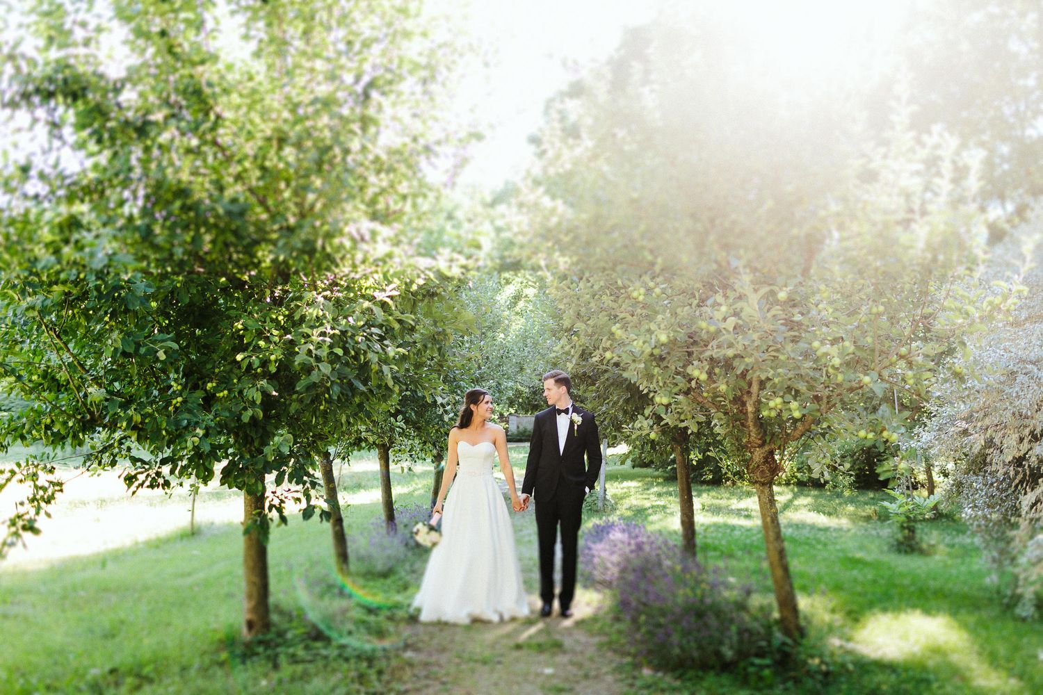 Bride and groom stroll along a tree-lined garden path holding hands on their wedding day.
