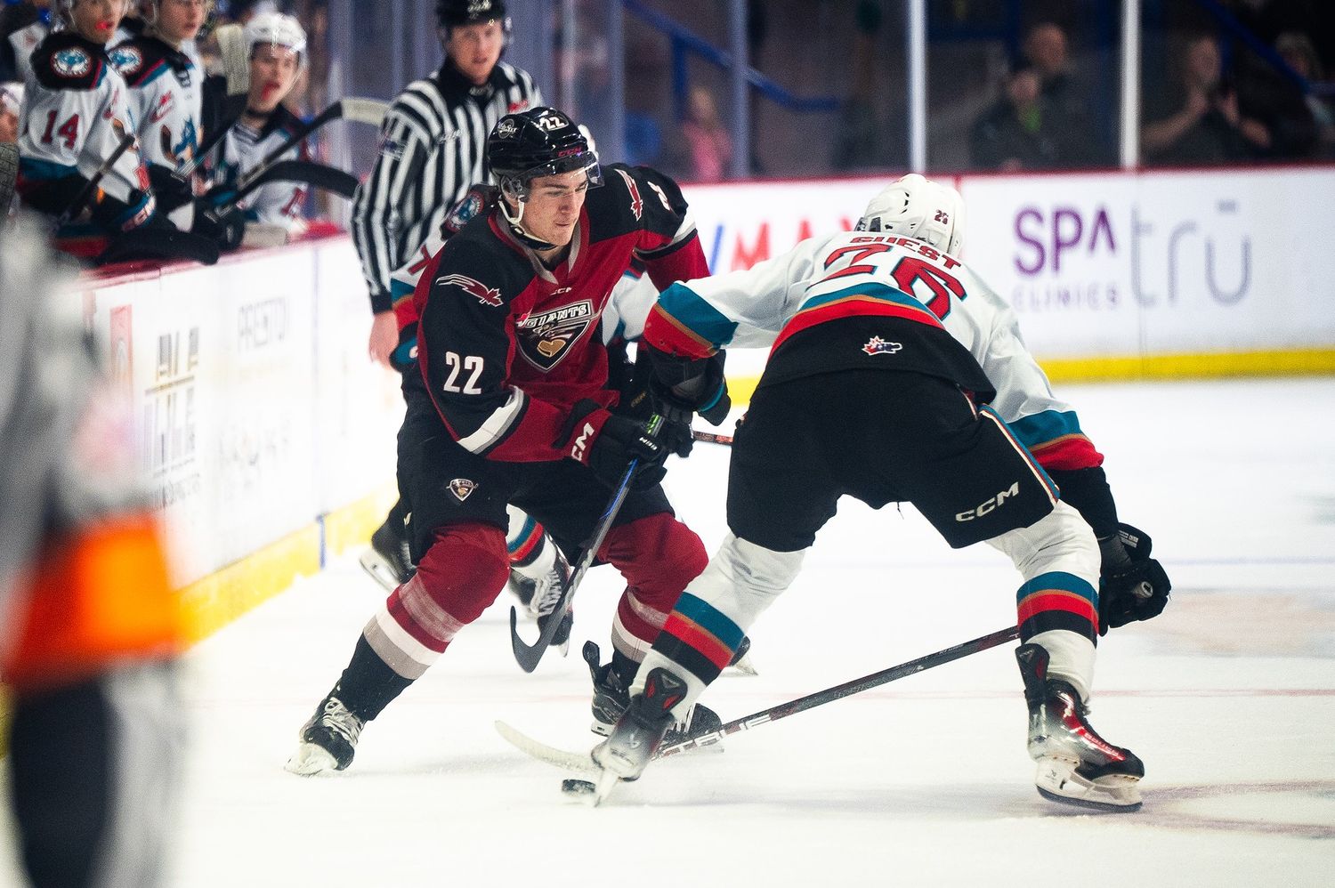 A Vancouver Giant hockey player in a red jersey battles a Kelowna Rocket hockey player in a white jersey for the puck