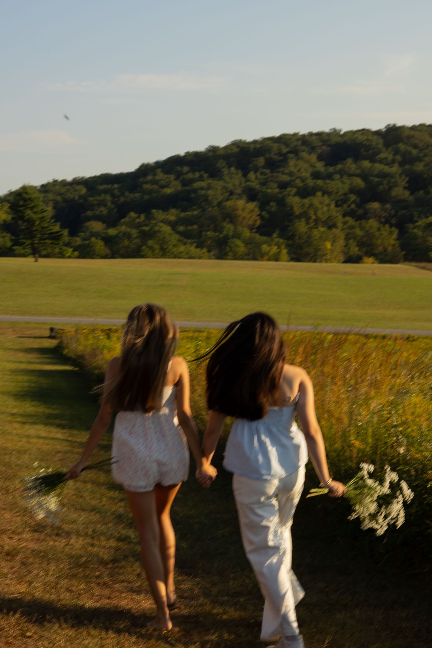 Two people walk through golden field during sunset carrying flowers for senior photos in Wilmington, Delaware.