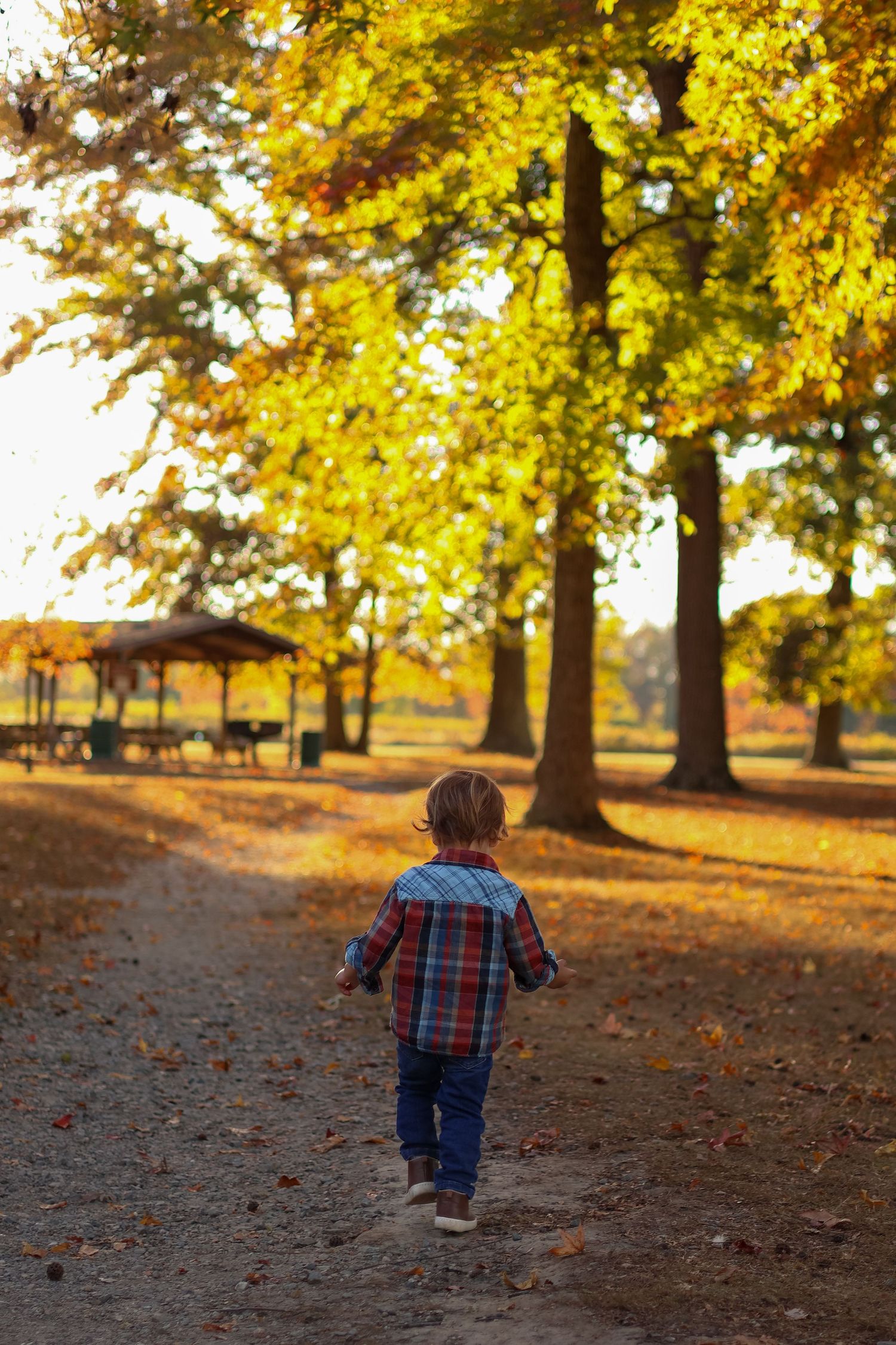 Child in plaid shirt runs through fallen autumn leaves in park in Wilmington, Delaware
