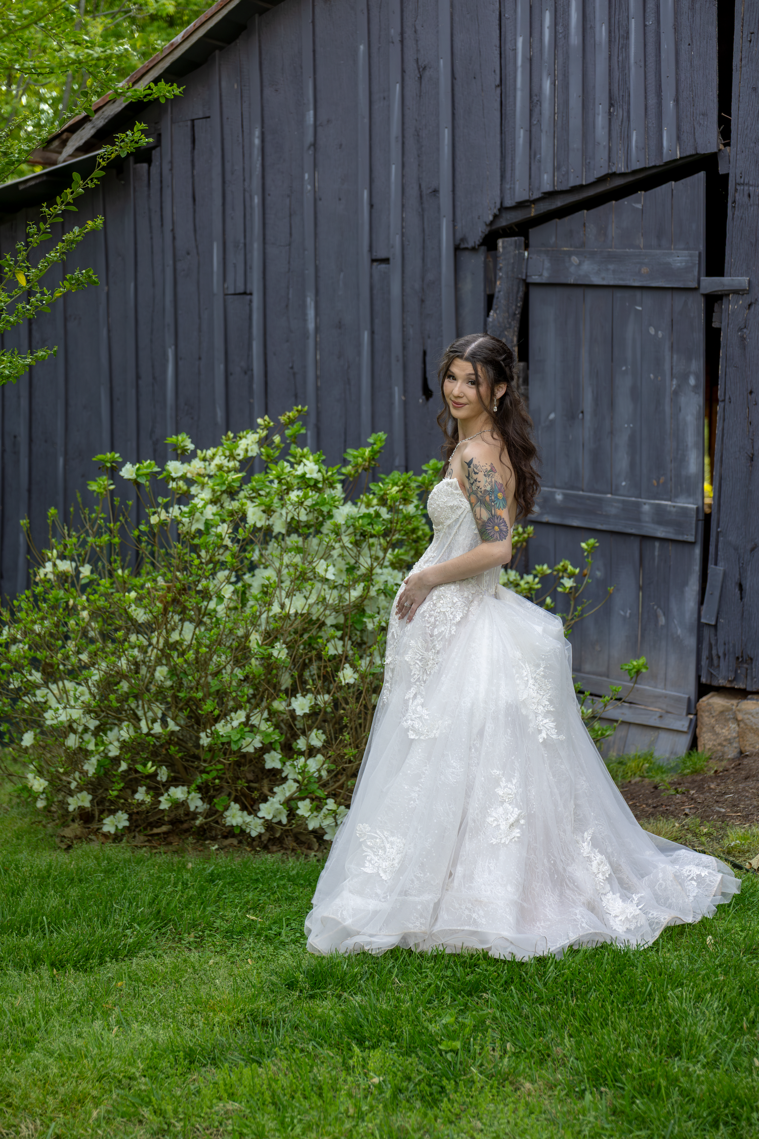 Bride in white lace ballgown poses by rustic barn with blooming white flowers and lush green grass.
