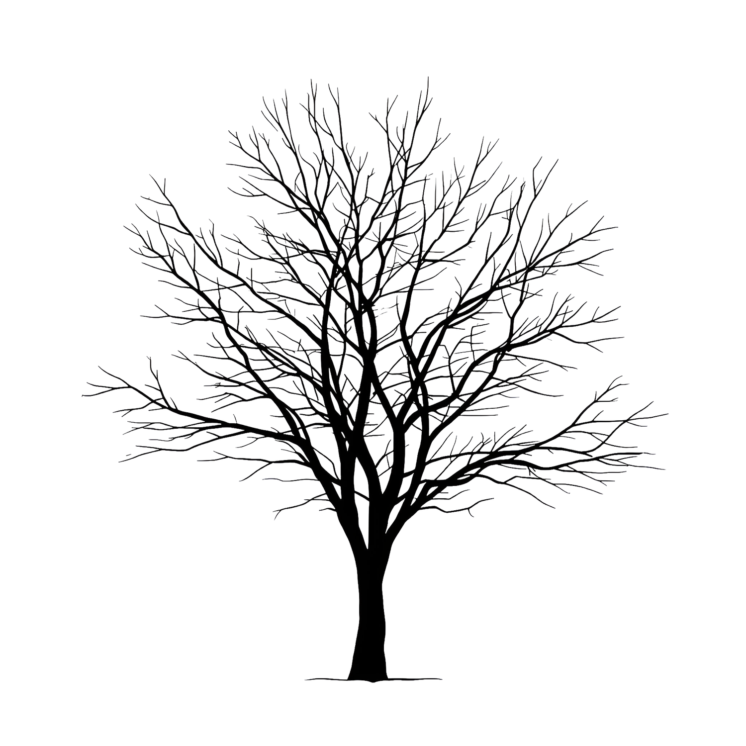 Silhouettes of bare winter trees in increasing size from left to right.