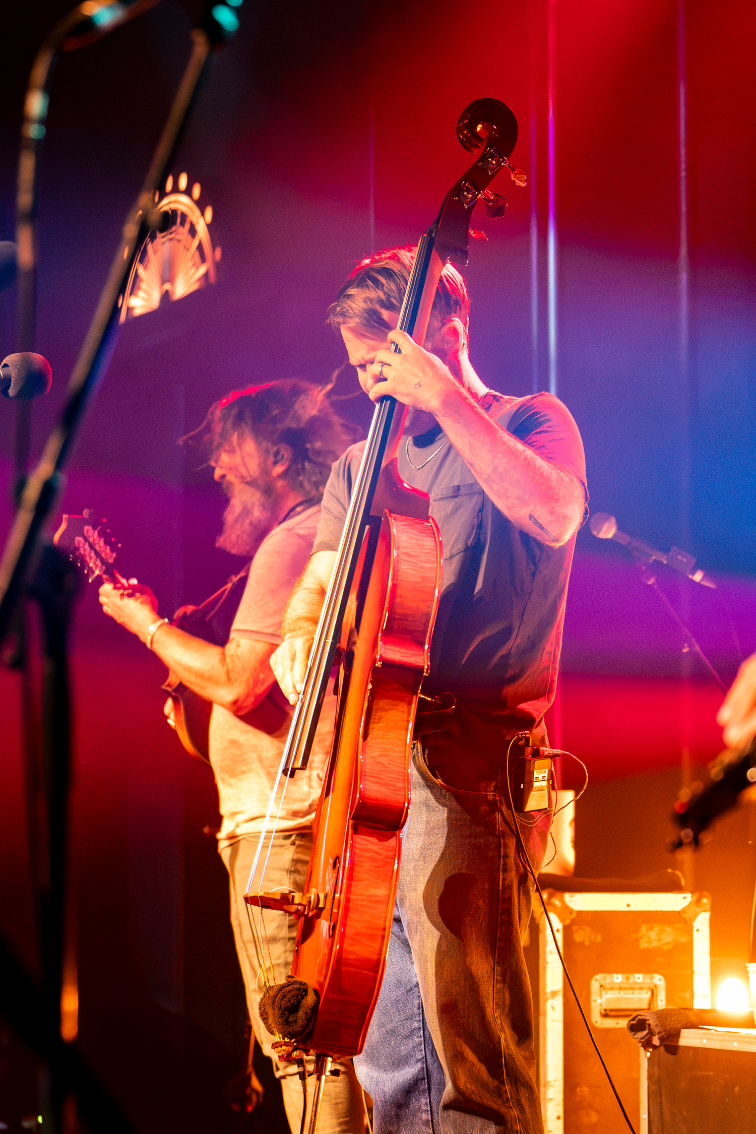 Musicians performing on stage, one playing upright bass and another on guitar, bathed in vibrant red and blue stage lighting.