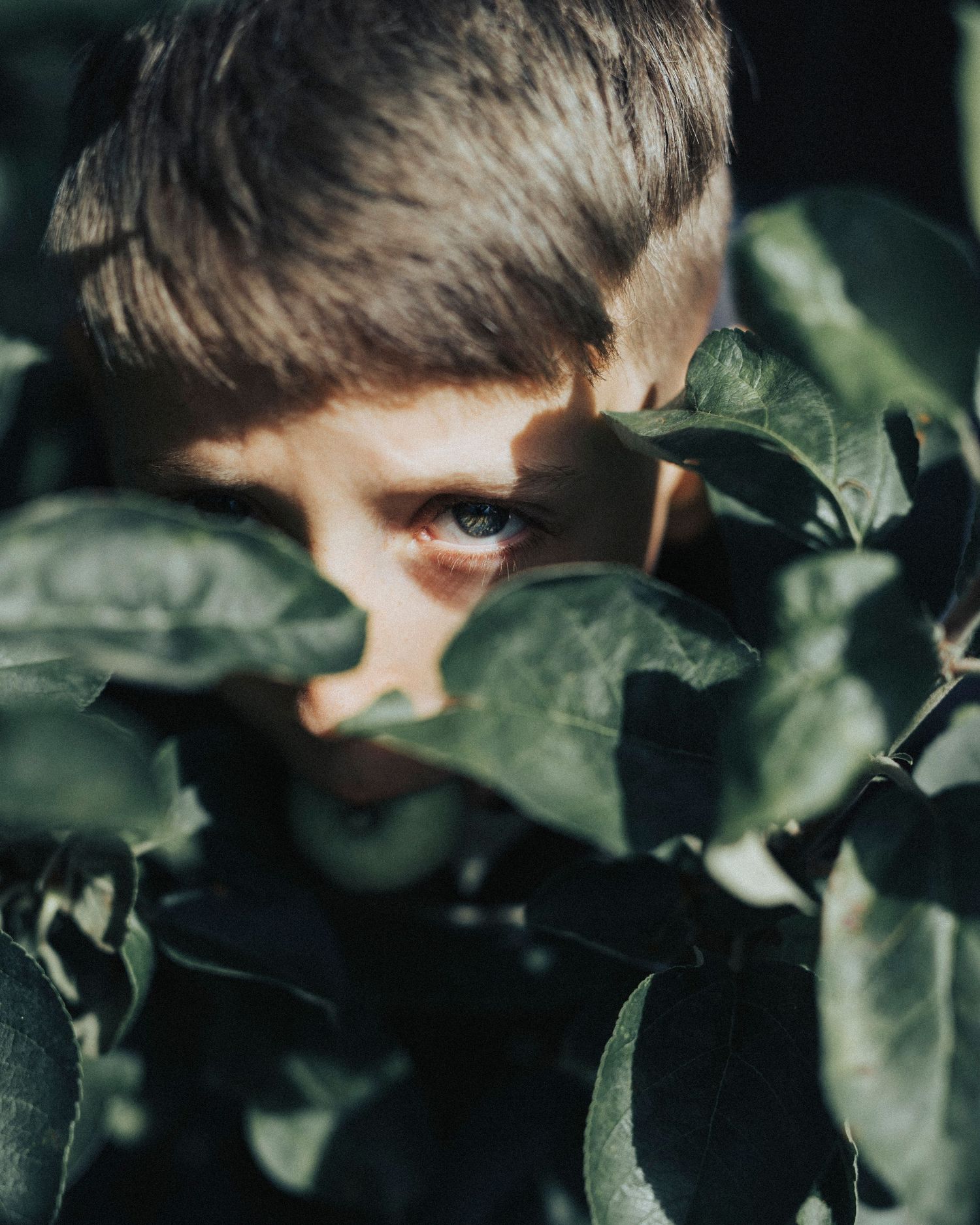 Artistic portrait through green leaves showing eyes peering through foliage.