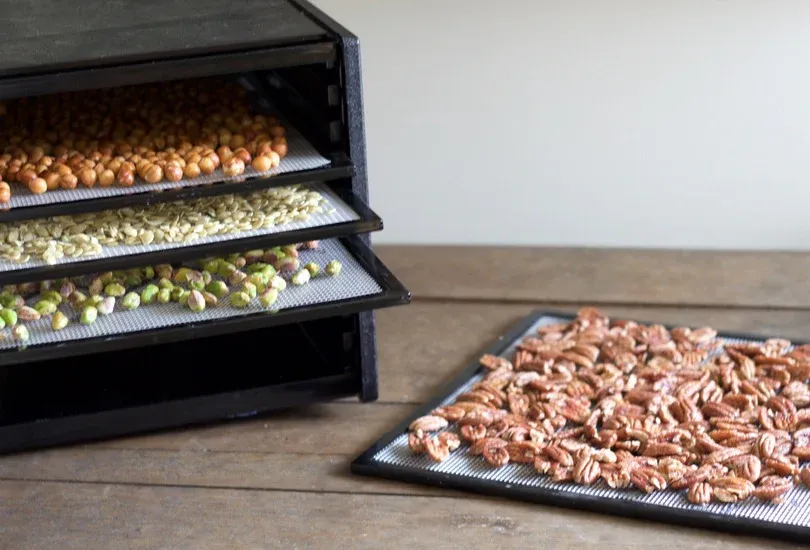 Sequence of food dehydrator trays showing the drying process of various foods in close-up detail.