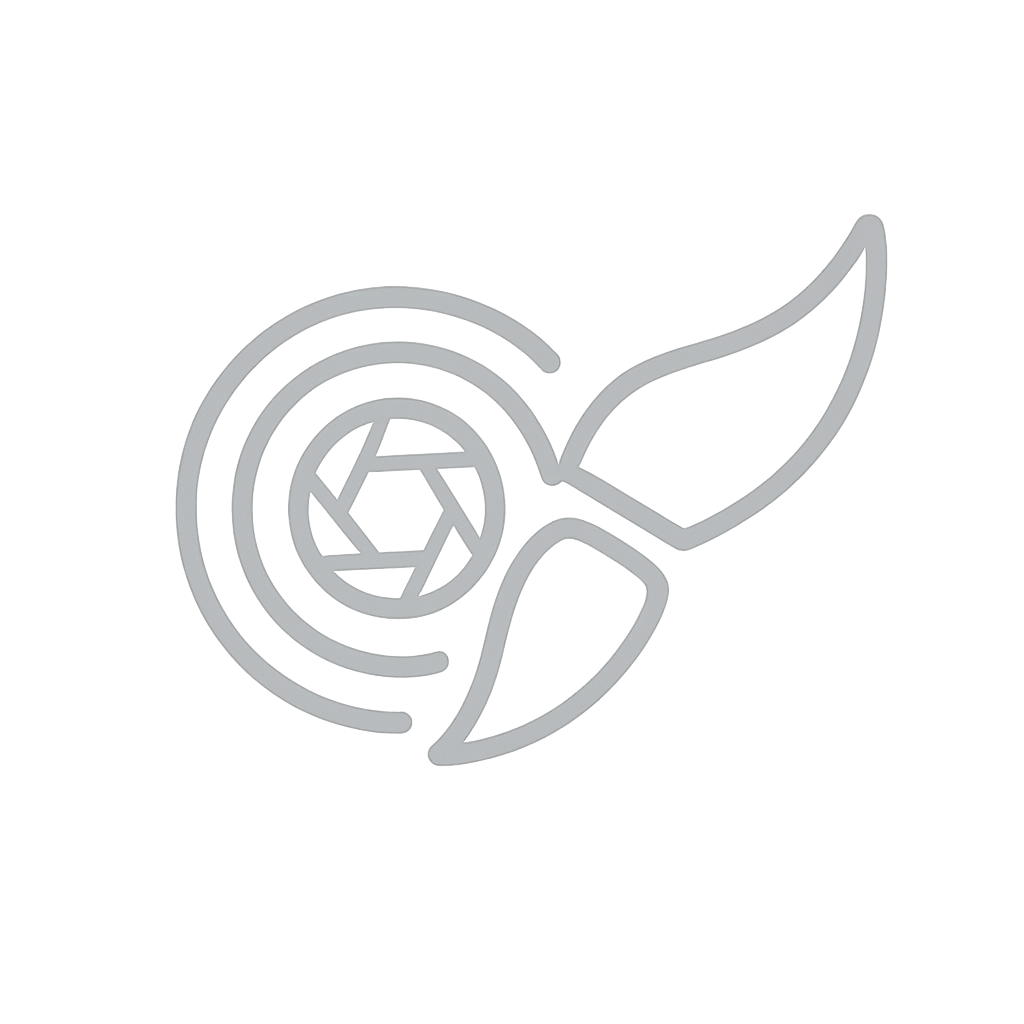 A minimalist line drawing shows a series of spiral and curved shapes in a simple black design against white.