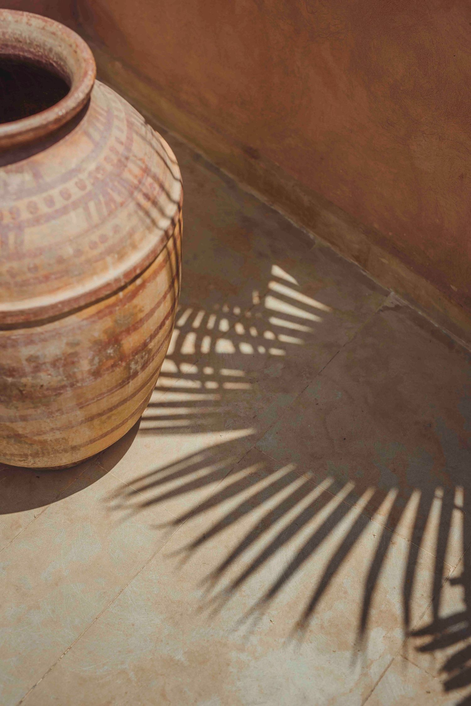 Large terracotta pot casting palm frond shadows on textured floor.