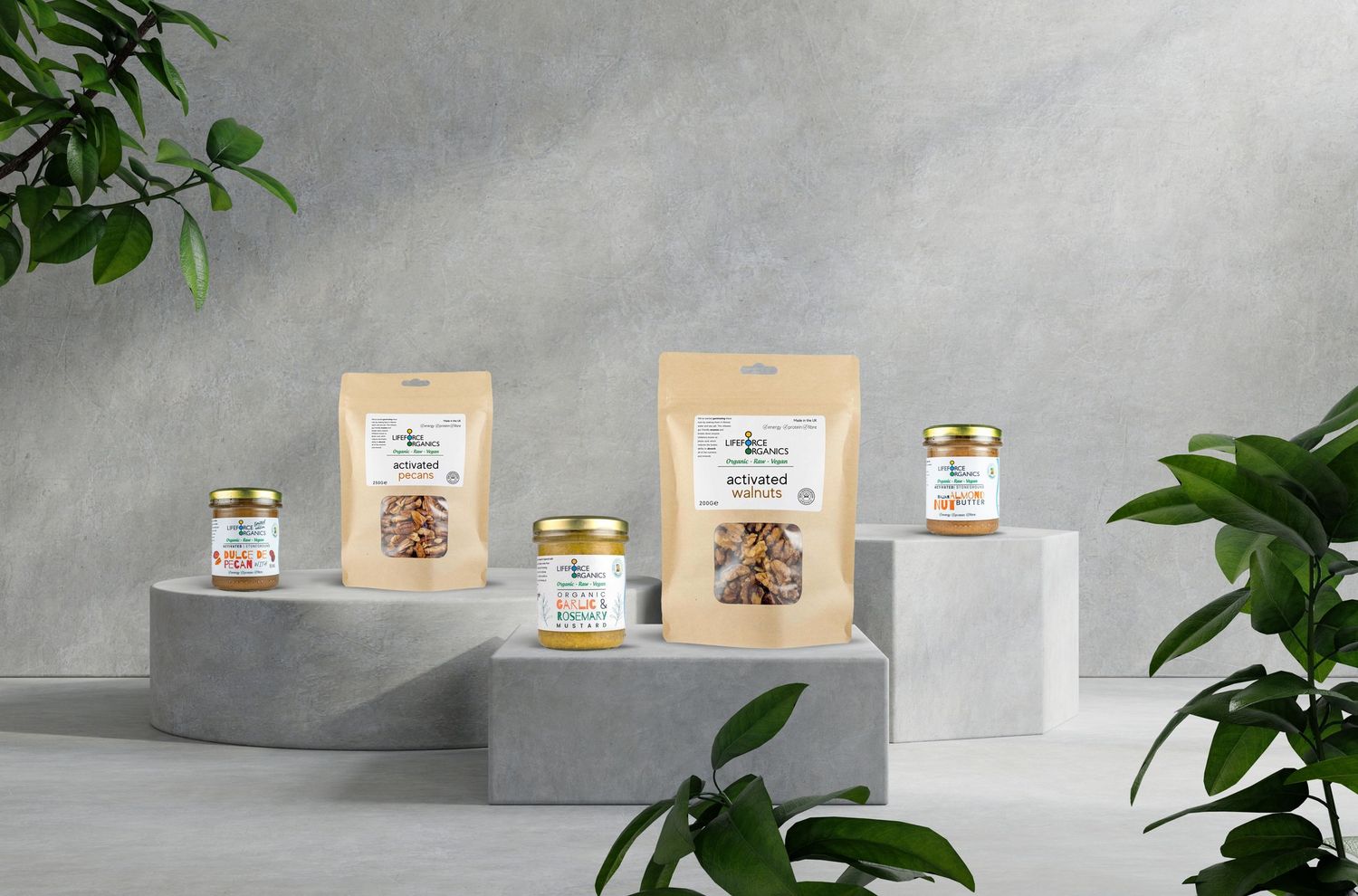 Modern white concrete display shelves holding artisanal food jars and products against a textured grey wall with green plants.