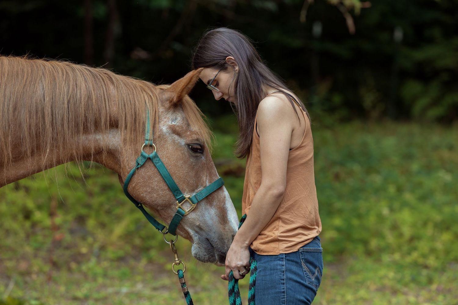 A series of photos showing a person petting and interacting with a gray horse wearing a turquoise halter in a green field.