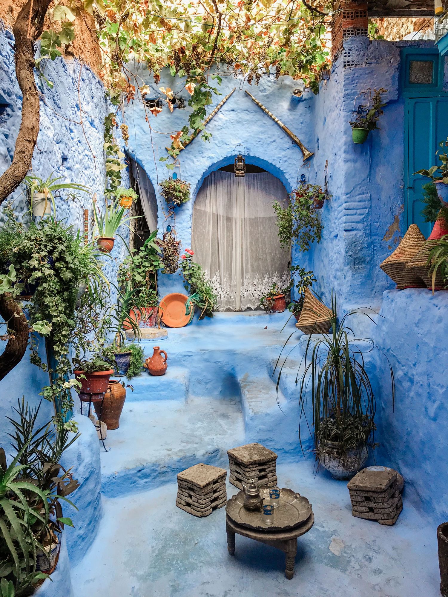 Traditional Moroccan courtyard with blue walls adorned with potted plants and rustic decorations.