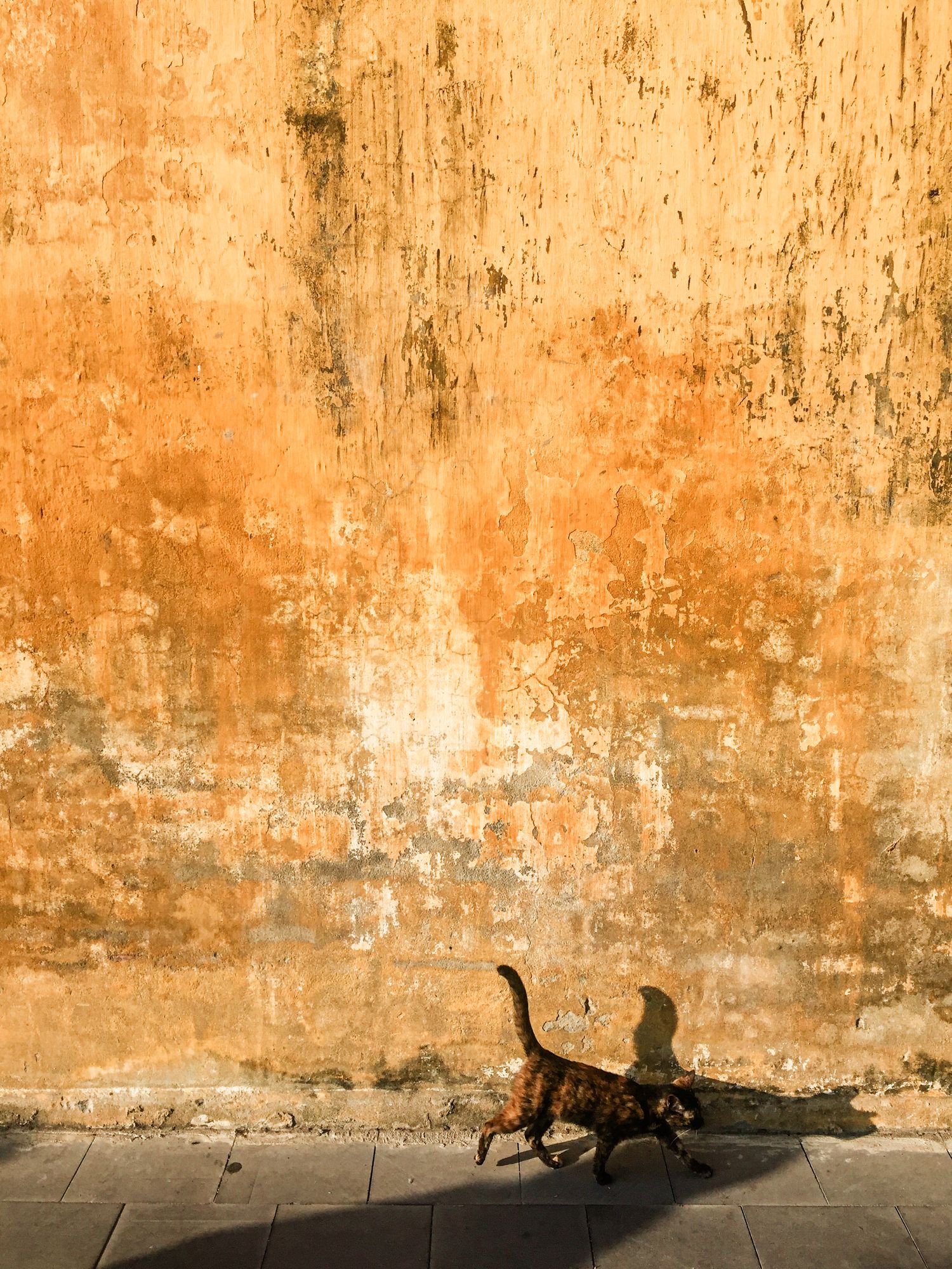 Weathered orange wall with shadow silhouettes creating artistic composition.