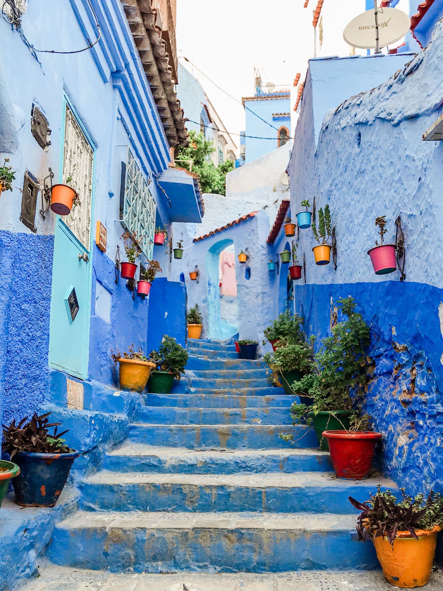 Steep blue steps decorated with colorful potted plants in Chefchaouen's winding medina.