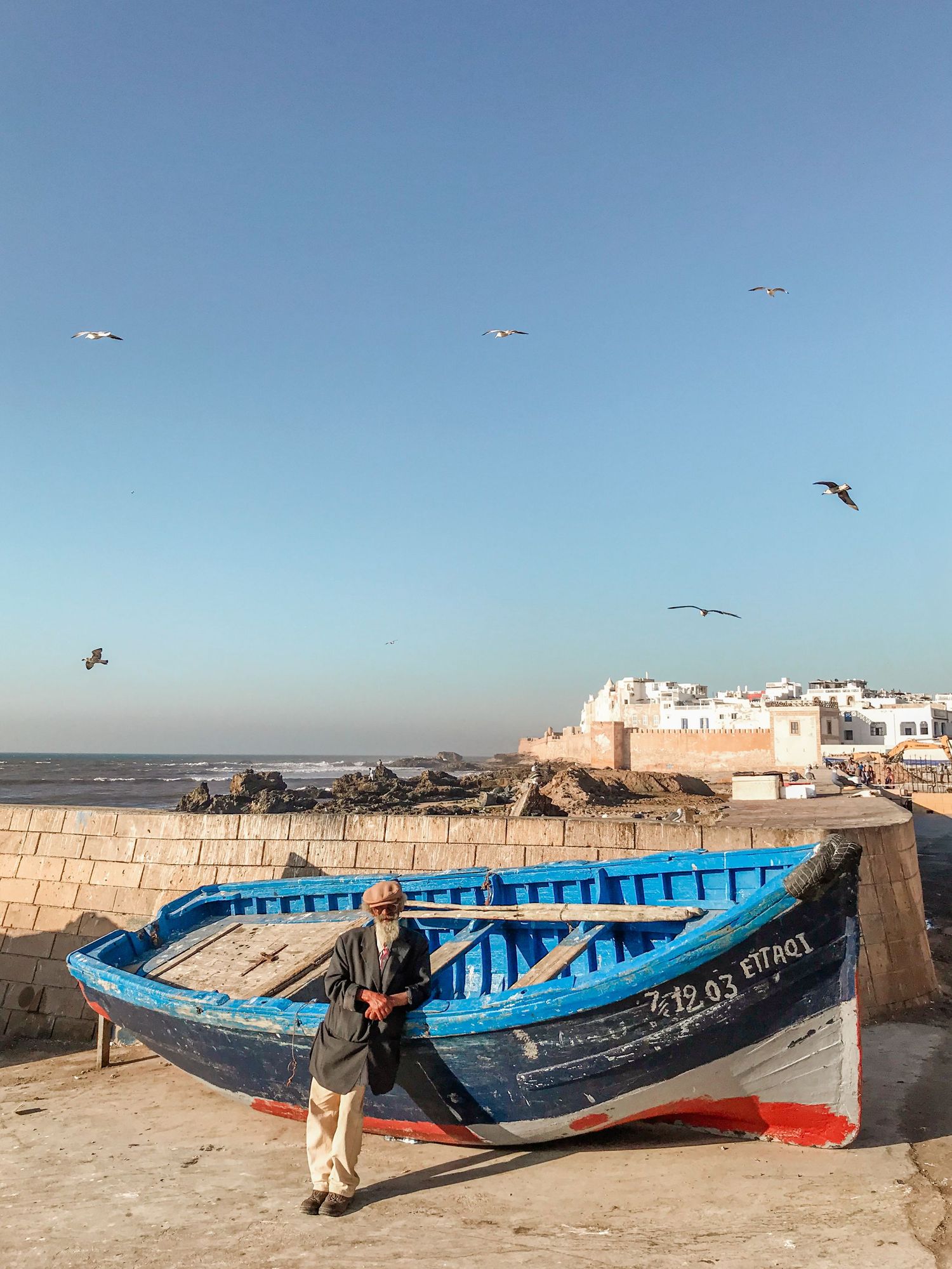 Blue fishing boats lined up along coastal wall with seagulls flying overhead.