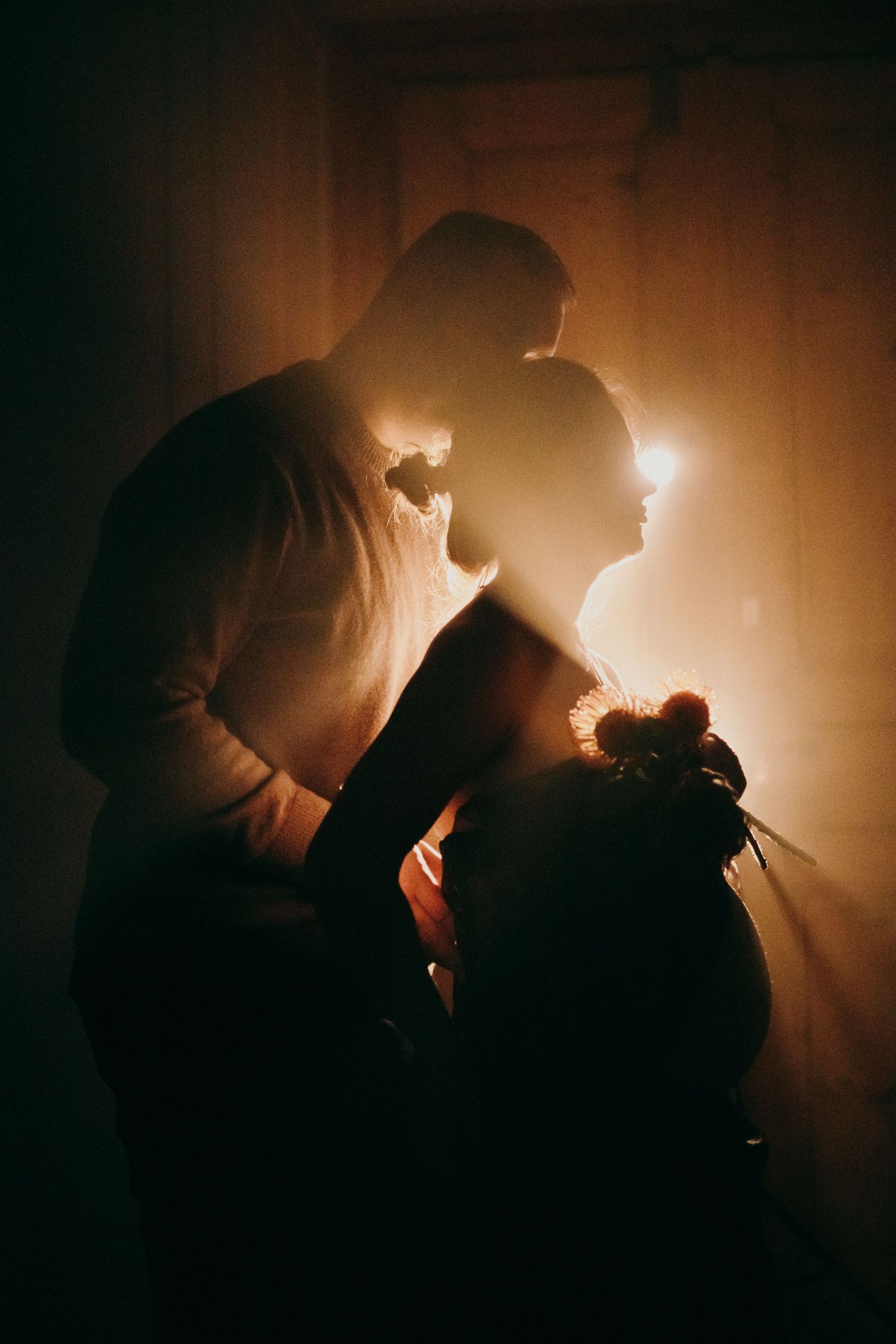 maternity photographer Czech Republic
maternity photoshoot Prague / Karlovy Vary
fine art maternity portraits
pregnancy photo session