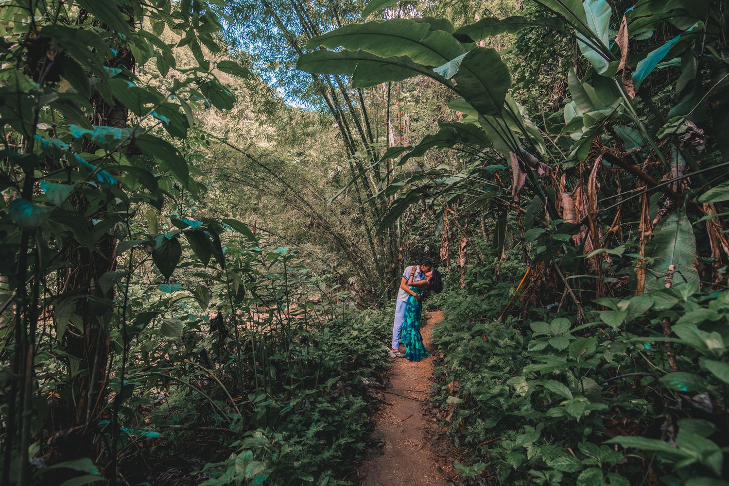 Hiker in a blue jacket walks a narrow dirt trail surrounded by dense tropical foliage and large green leaves.