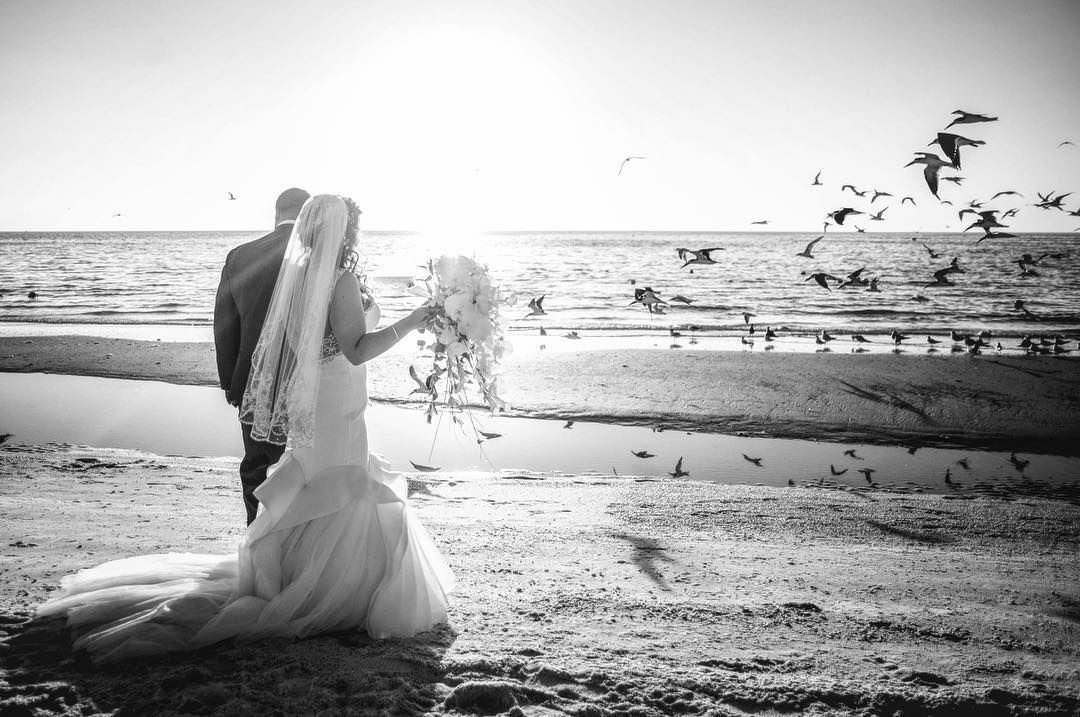Black and white beach wedding photo of a bride and groom walking along the shore as seagulls fly over the water at sunset.