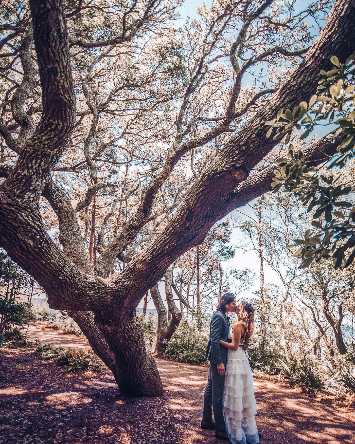 Bride and groom kissing beneath a large sprawling oak tree on a sunlit wooded path in a romantic outdoor wedding portrait.