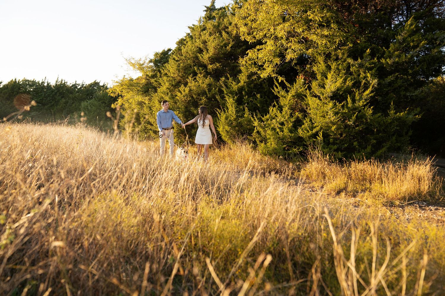Couple holding hands walking through golden meadow grass at sunset with lush green trees in background.