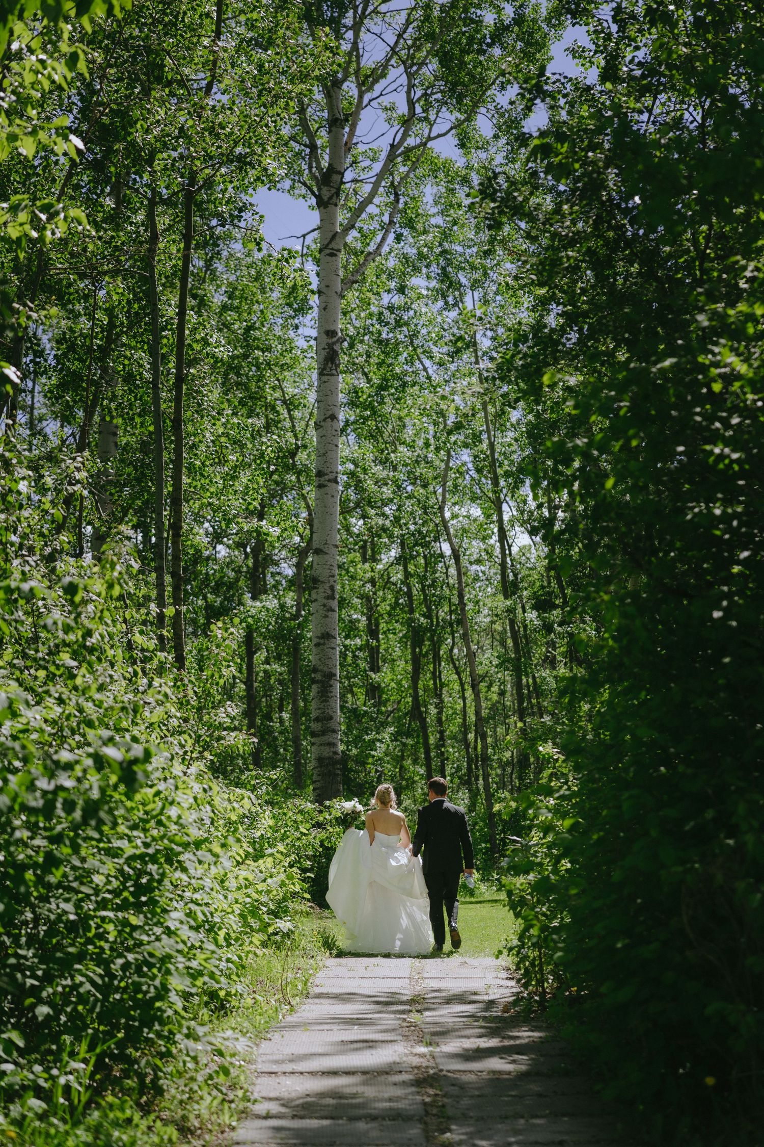 Bride and groom walking hand in hand down a tree-lined path surrounded by lush green foliage on a sunny day.