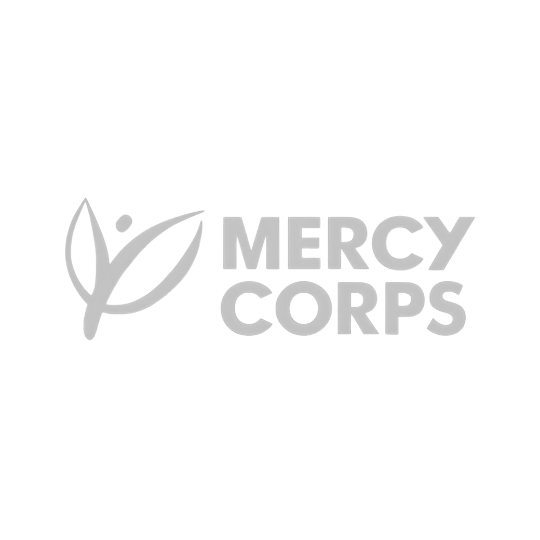 Mercy Corps nonprofit organization logo in gray, featuring a stylized leaf and person icon beside bold text.