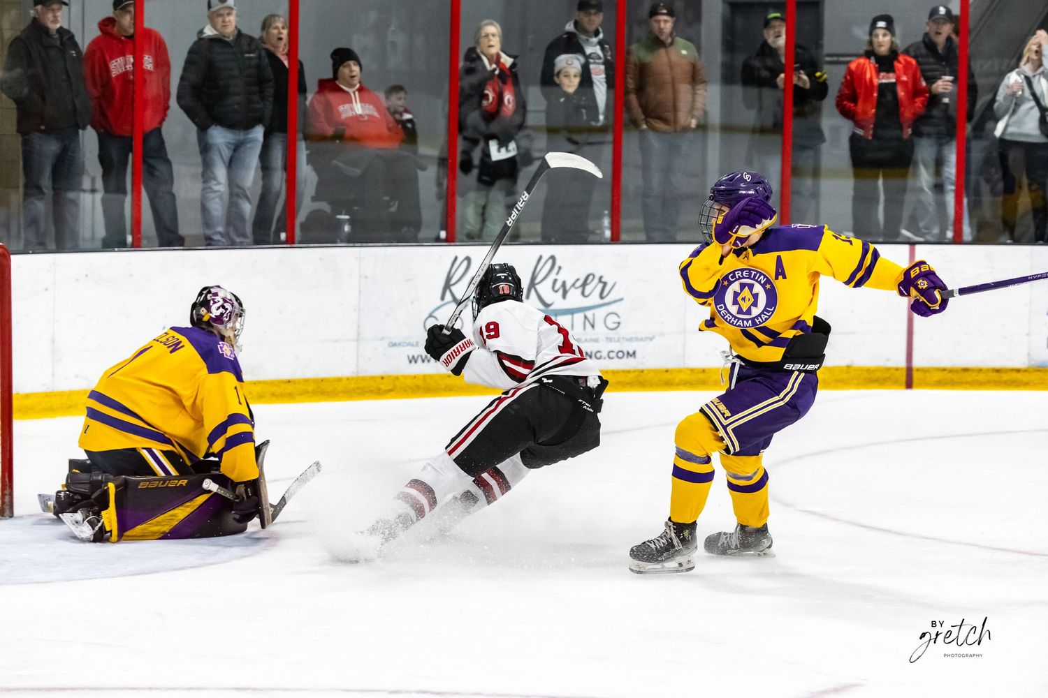 Purple and gold hockey player scoring goal past goalie during ice hockey game.