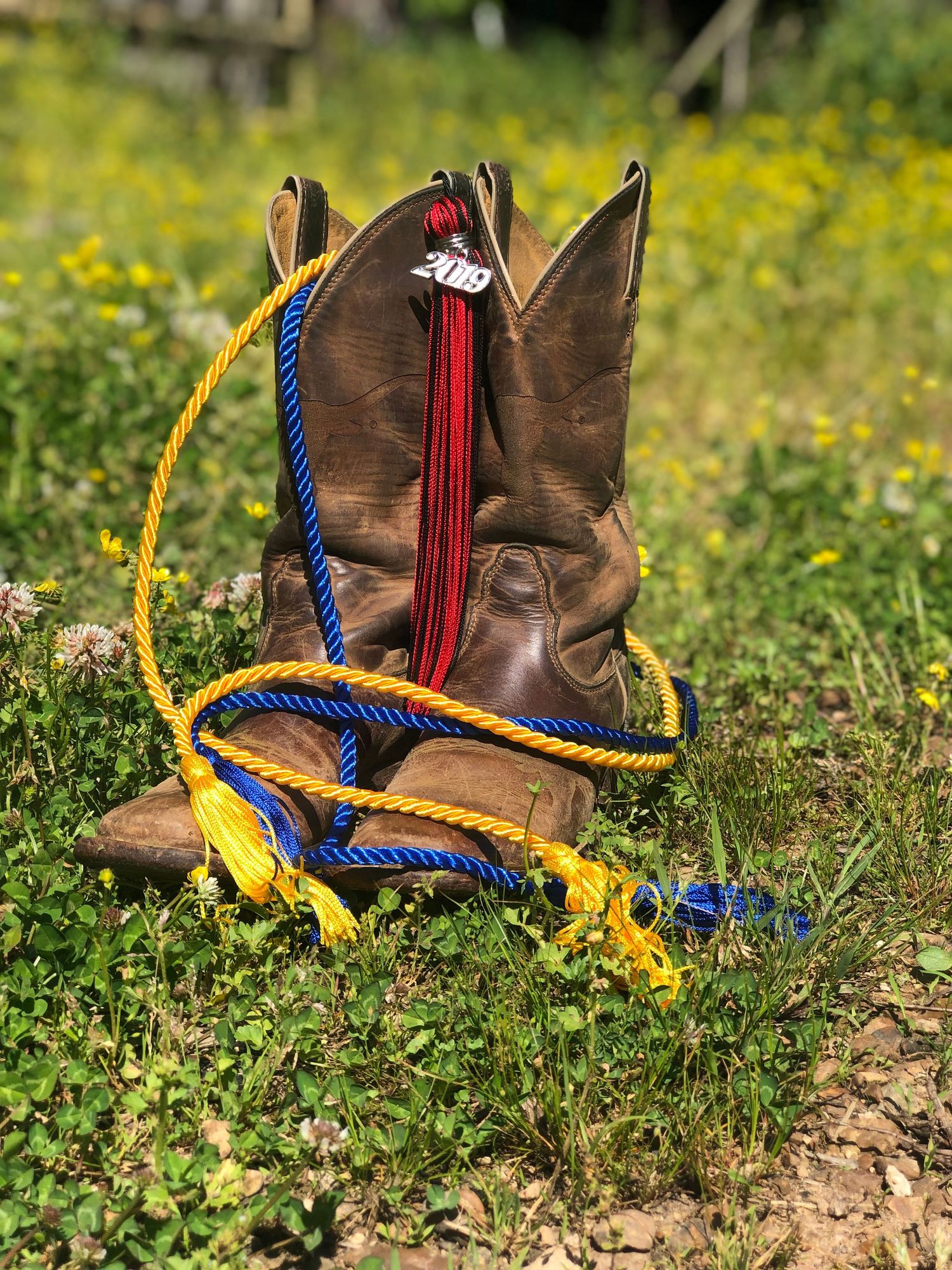 Cowboy boots with colorful graduation cords in a country setting