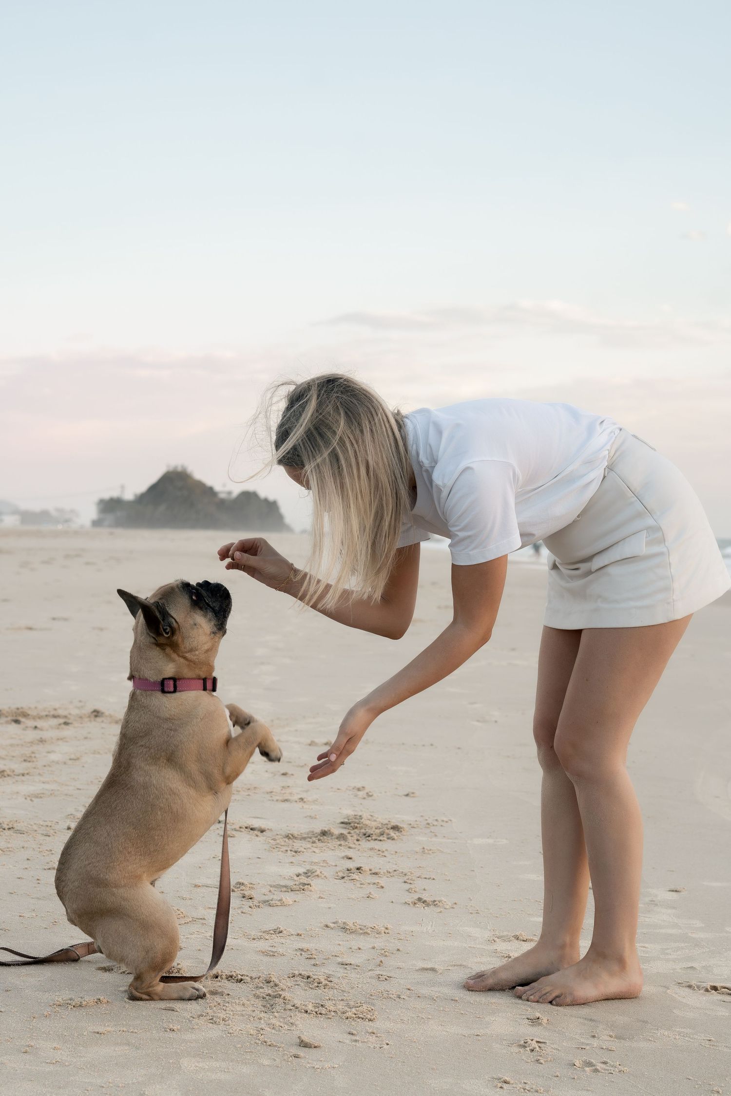 Woman doing tricks with her dog on the beach during a natural pet photography session on the Gold Coast