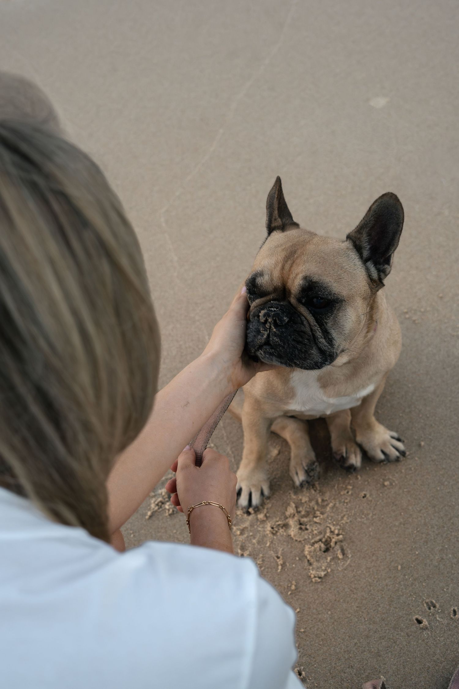 Woman with her dog on the beach during a natural pet photography session on the Gold Coast